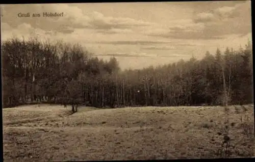 Ak Hoisdorf in Schleswig-Holstein, Waldbild