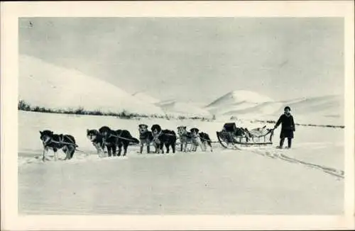 Ak Alaska USA, Wagons lits de l'Arctique, Hundeschlitten