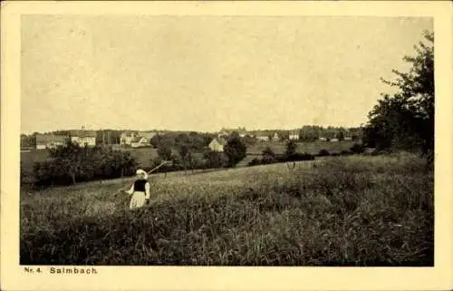 Ak Salmbach Engelsbrand in Baden Württemberg, Feldarbeiterin, Gesamtansicht