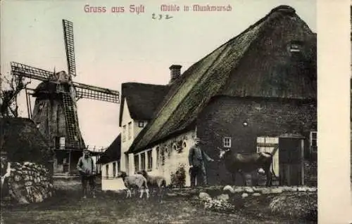 Ak Munkmarsch Sylt in Nordfriesland, Mühle, weiße Häuser, ländliche Szene, Tiere