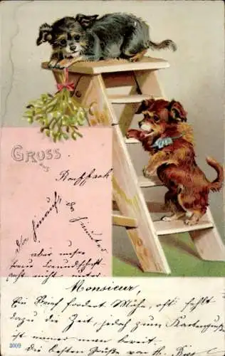 Künstler Ak Welpen, Leiter