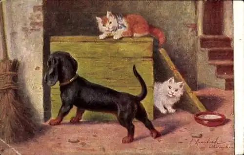 Künstler Ak Sperlich, Dackel und Katzen