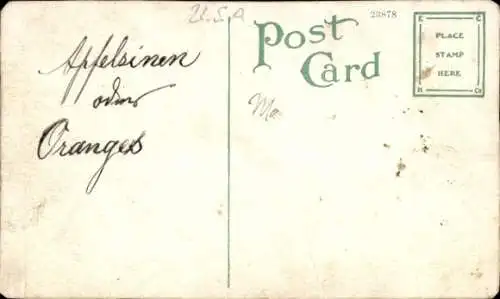 PC Florida USA, Picking Oranges