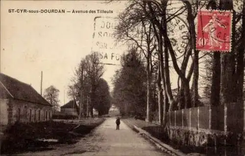 Ak Saint Cyr sous Dourdan Essonne, Avenue des Tilleuls