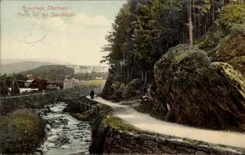 Ak Braunlage im Oberharz, Landschaft mit Wald, Weg und Menschen, Bergstadt im Hintergrund