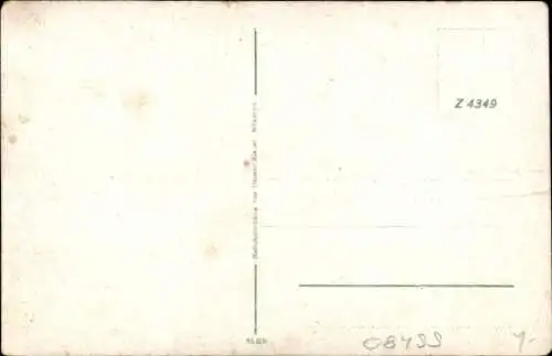 Ak Mylau Reichenbach im Vogtland, Stadtansicht, Burg, Häuser, Kirche, alte Architektur