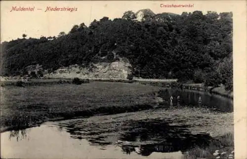 Ak Niederstriegis Roßwein in Sachsen, Flusslandschaft, Hügel, Gebäude auf dem Hügel, Troischau...