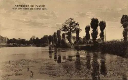 Ak Ammelshain Naunhof bei Leipzig, Blick vom Garten des Gasthof Zeibig, Ammelshain, Wasser, Bä...