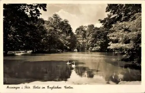 Ak Meiningen in Thüringen, Landschaft mit Wasser, Bäume, Englischer Garten, Postkarte