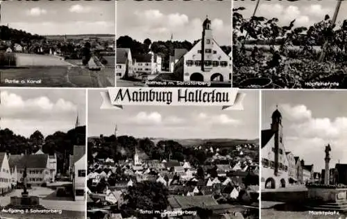 Ak Mainburg in der Hallertau Niederbayern, Partie am Kanal, Rathaus mit Salvatorberg, Markt, H...