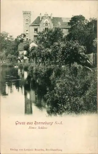 Ak Ronneburg in Thüringen, Schloss, Wasserlauf, Bäume, historische Architektur, Schwarz-Weiß-F...