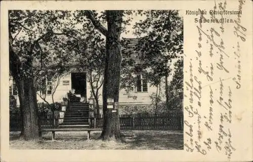 Ak Schwarzkollm Hoyerswerda in der Oberlausitz, Königliche Revierförsterei