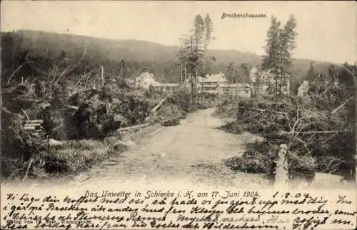 Ak Schierke Wernigerode im Harz, Brockenchaussee nach dem Unwetter 1904