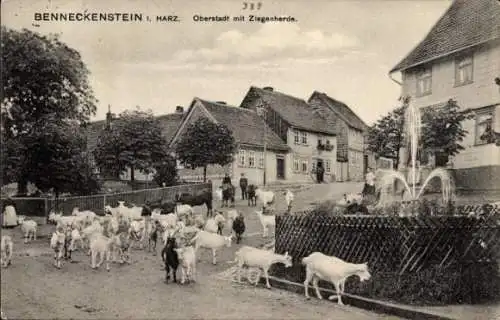 Ak Benneckenstein Oberharz, Oberstadt mit Ziegenherde, Springbrunnen