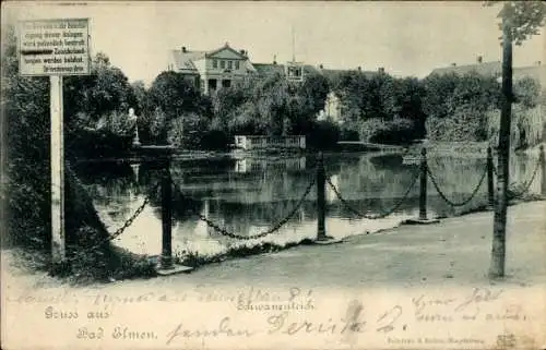 Ak Bad Elmen Salzelmen Schönebeck an der Elbe, Schwanenteich, Gebäude, Natur, 