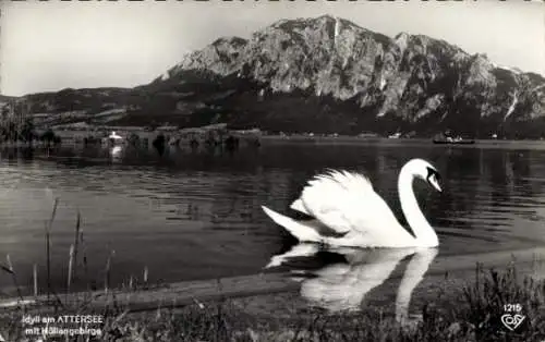 Ak Attersee am Attersee Oberösterreich, Idyll am Attersee mit Höllengebirge