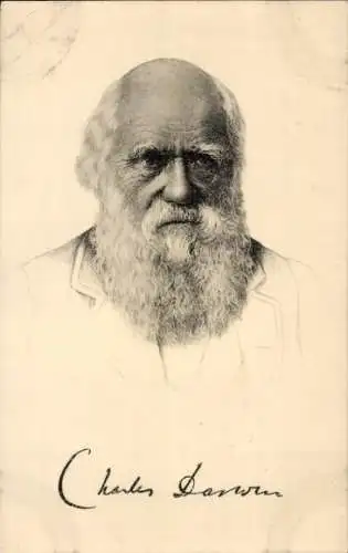 Ak Charles Darwin, Portrait