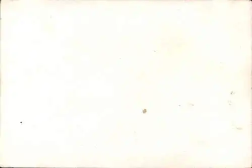 Ak Akrobaten Brüder Alphonso, Artisten