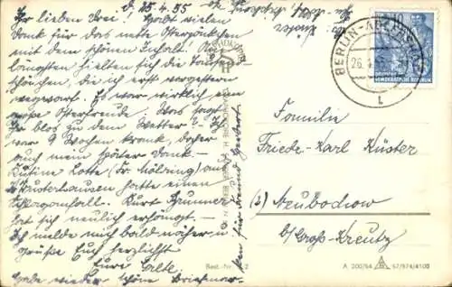 Ak Zwei Hunde, Portrait