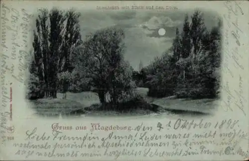 Mondschein Ak Magdeburg an der Elbe, Inselteich, Dom