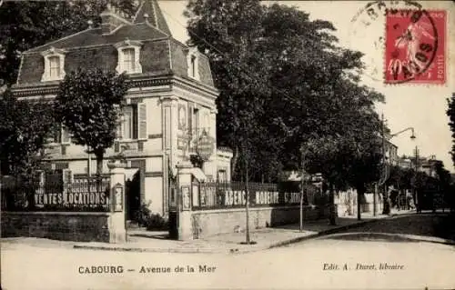 Ak Cabourg Calvados, Avenue de la Mer
