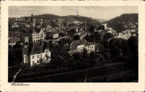 Ak Waldheim in Sachsen, Landschaftsaufnahme, Stadtansicht, historische Architektur, Bäume