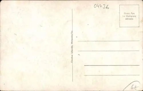 Ak Waldheim in Mittelsachsen, Totalansicht, Rathaus, Landesanstalt