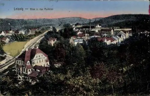 Ak Leisnig in Sachsen, Blick in das Muldetal
