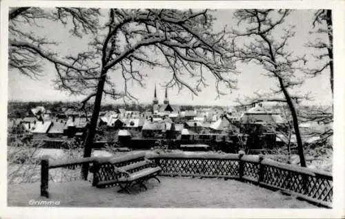 Ak Grimma in Sachsen, Schneelandschaft, Häuser, Kirchtürme, Winterlandschaft, Baumäste