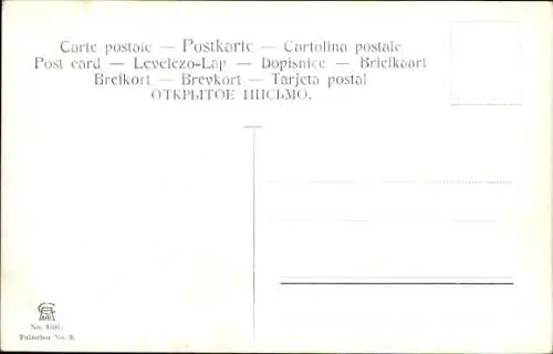 Künstler Ak Perlberg, F., Tiberias Israel, Panorama, Siehe Genezareth