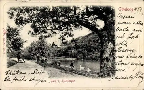 Ak Göteborg Schweden, Chateau Sloft, La frict, Slottskogen, Parklandschaft, Enten, Spaziergänger