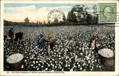 Ak Birmingham Alabama USA, Baumwollpflücker, Plantagenarbeit, Pferde, Baumwollfelder