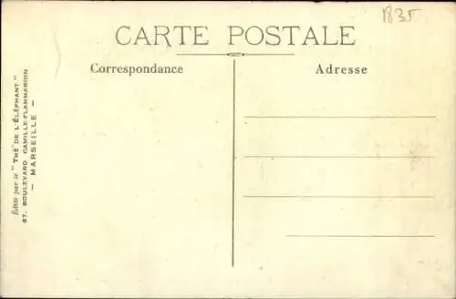 Künstler Ak Der Elefantentee im Wandel der Zeit, unter Napoleon I