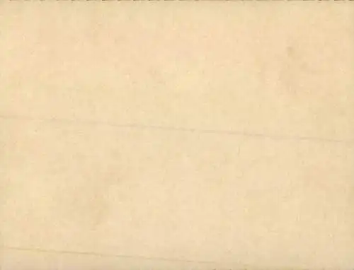 Foto Japan, Teepflückerinnen, Reklame, Gustav Boehm's Reise um die Welt, Boehm's Toilettenseifen