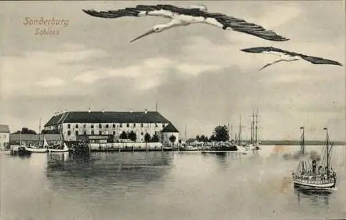 Ak Sønderborg Sonderburg Dänemark, Schloss, Störche