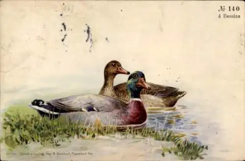Künstler Ak Enten, Erpel