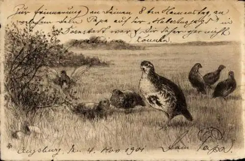 Künstler Ak Rebhühner, Landschaft