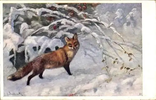 Künstler Ak Fuchs im verschneiten Wald