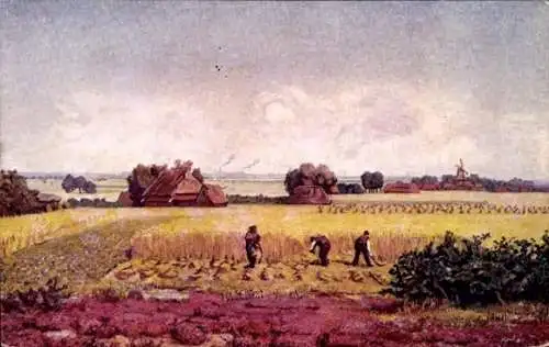 Ak Drente, Ortspartie, Ernte