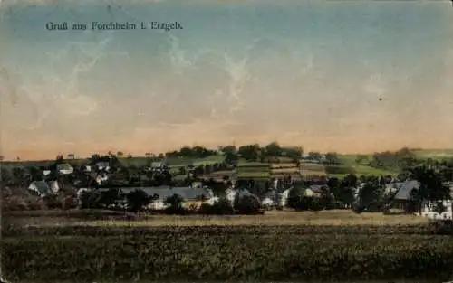Ak Forchheim Pockau im Erzgebirge, Landschaftsaufnahme, Gebäude, Felder, Himmel, nostalgischer...