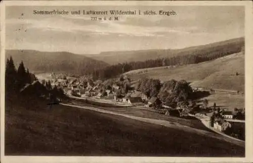 Ak Wildenthal Eibenstock im Erzgebirge, Gesamtansicht