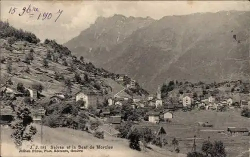 CPA Salvan Canton du Valais Suisse, vue générale et la Dent de Morcles