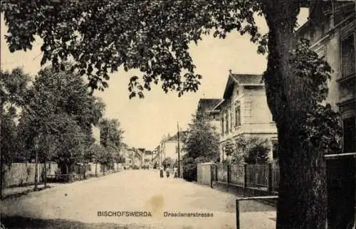 Ak Bischofswerda in Sachsen, Straße mit Häusern, Bäume, ruhige Stadtansicht