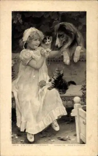 Ak Mädchen spielt mit Kätzchen und Hund auf einer Bank