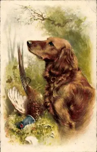 Künstler Ak Jagdhund mit erlegtem Fasan