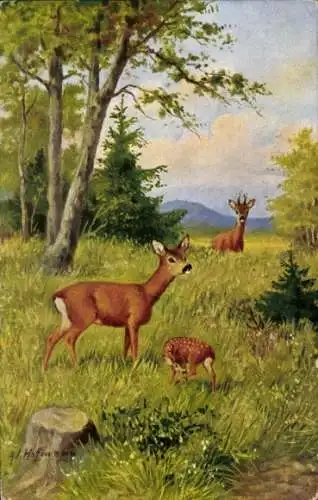 Künstler Ak Hoffmann, Ad., Rehe im Wald