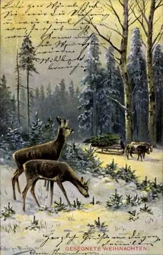 Ak Glückwunsch Weihnachten, Hirsche im Winterwald, Gesegnete Weihnachten