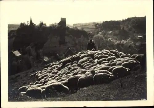 Ak Schafherde, Schafe, Hirte, Landwirtschaft