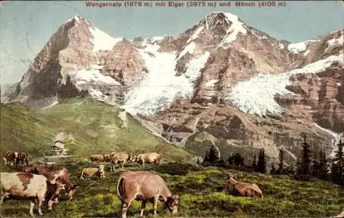 Ak Wengernalp Kanton Bern Schweiz, Wengernalp mit Eiger und Mönch