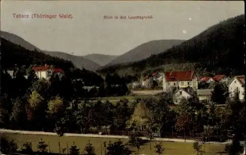Ak Tabarz im Thüringer Wald, Tabarz, Thüringer Wald, Blick in den Lauchagrund, hügelige Landsc...